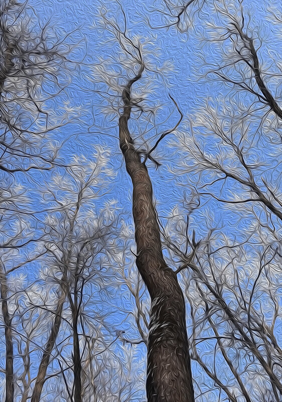 Это было 26 февраля-2025. - Валентина  Нефёдова 