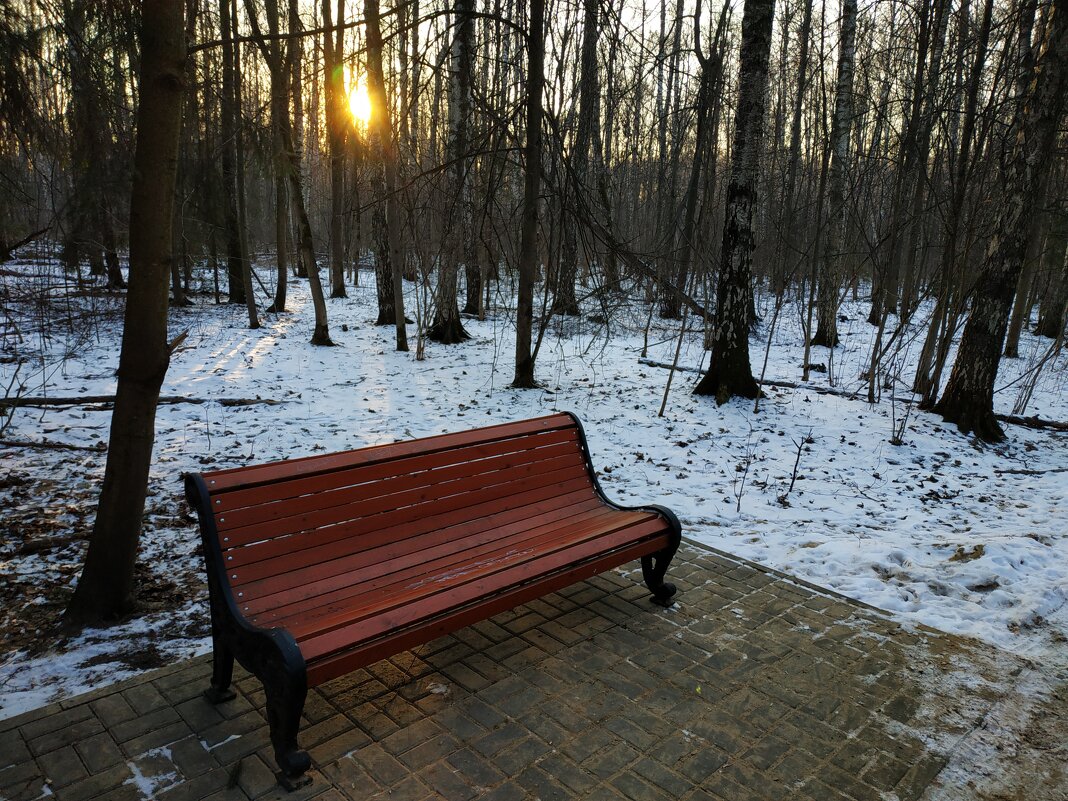Вечер в парке - Андрей Лукьянов Вечер в парке - Андрей Лукьянов