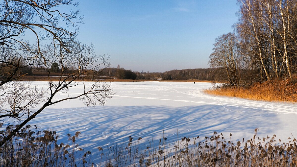 Зимний пейзаж в конце зимы. - Милешкин Владимир Алексеевич 
