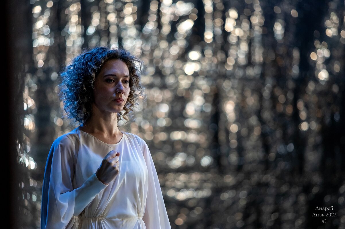 «Чайка» Московский театр «Школа драматического искусства» - Андрей Lyz