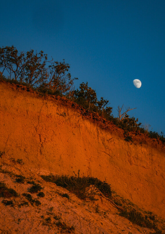 Луна на закате солнца - Tanya Nikorovskaya