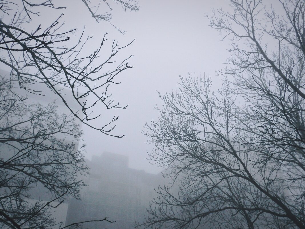 А на город упал туман - Tanya Nikorovskaya