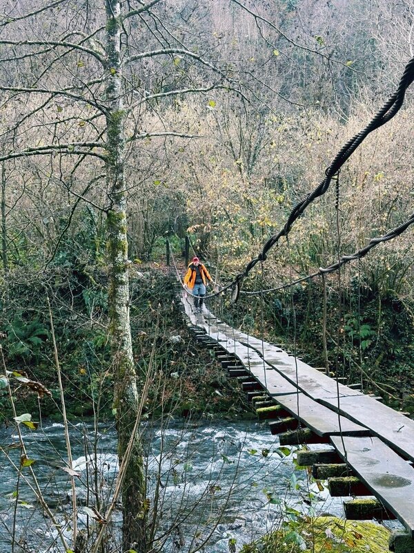 Мостик... - Георгиевич 