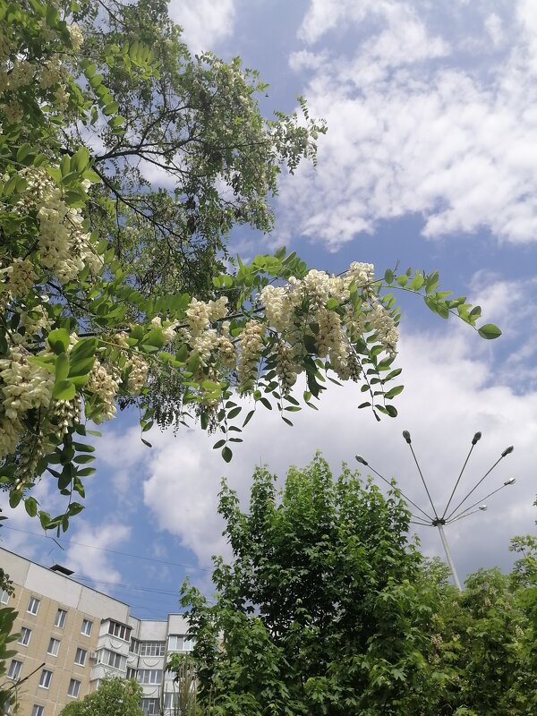 ,,, - Сергей Тимоновский