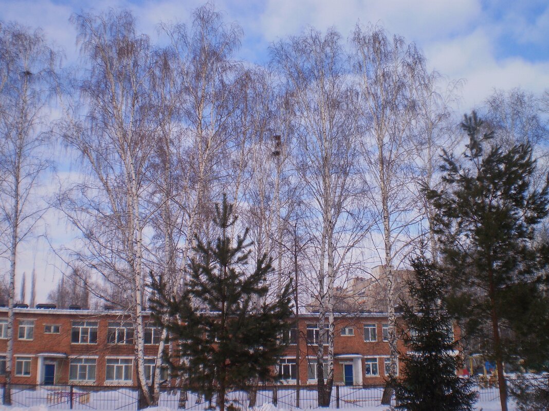 Прощай, зима 2025.! - Венера Чуйкова Прощай, зима 2025.! - Венера Чуйкова