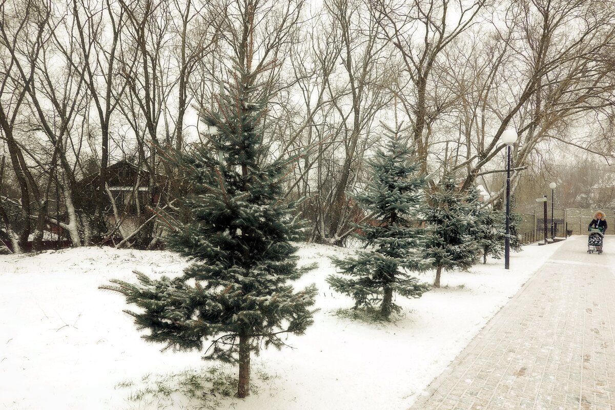 Декабрь - Татьяна Помогалова Декабрь - Татьяна Помогалова
