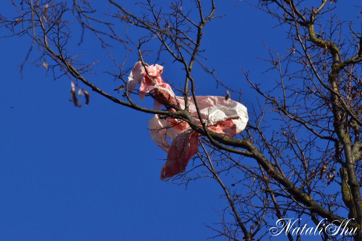 Праздник закончился. - Наталья Вязигина Праздник закончился. - Наталья Вязигина
