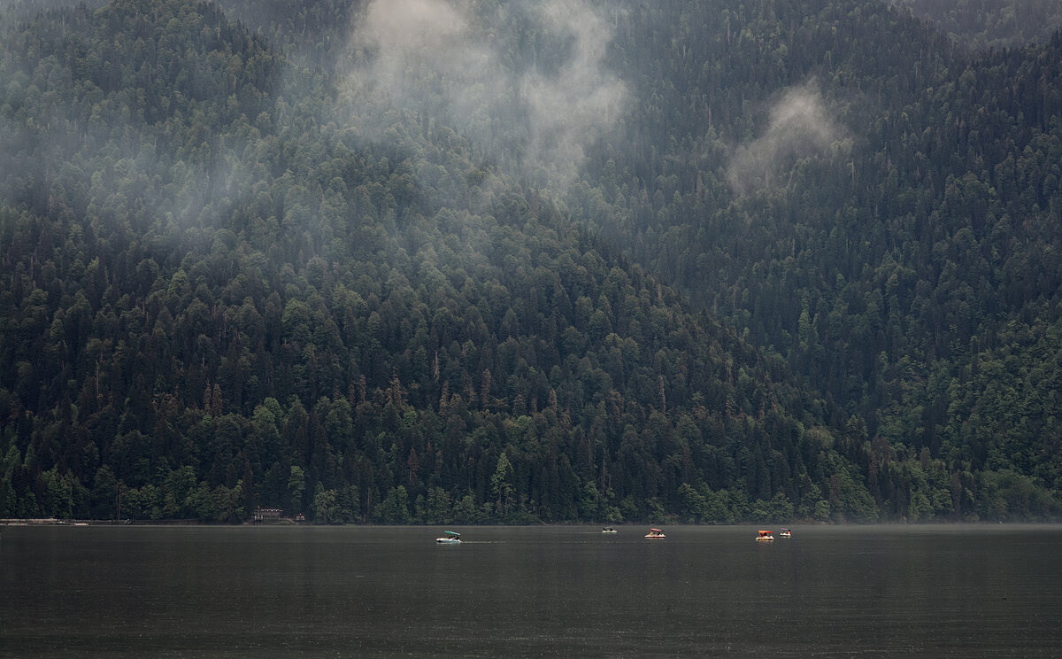 Рица - Лилия . Рица - Лилия .