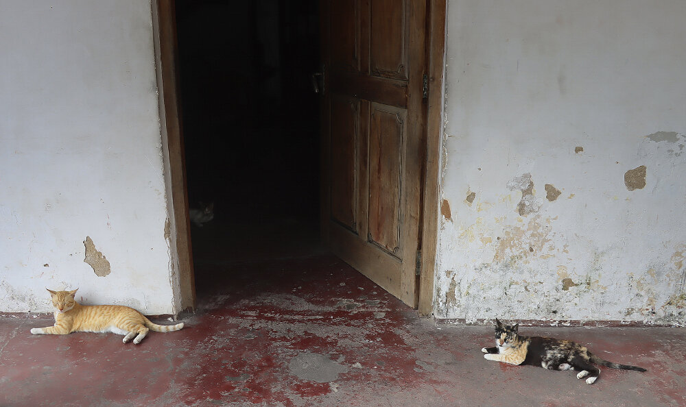 Сфинксы на входе - Галина Ильясова