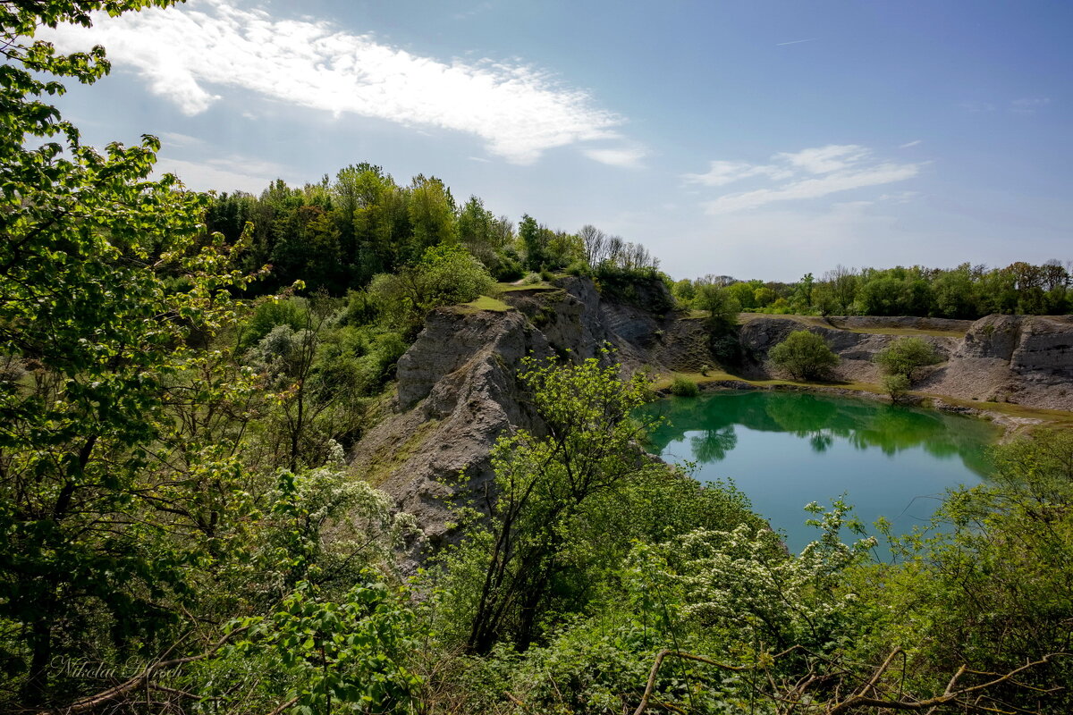 Утопающий в зелени... - Николай Гирш