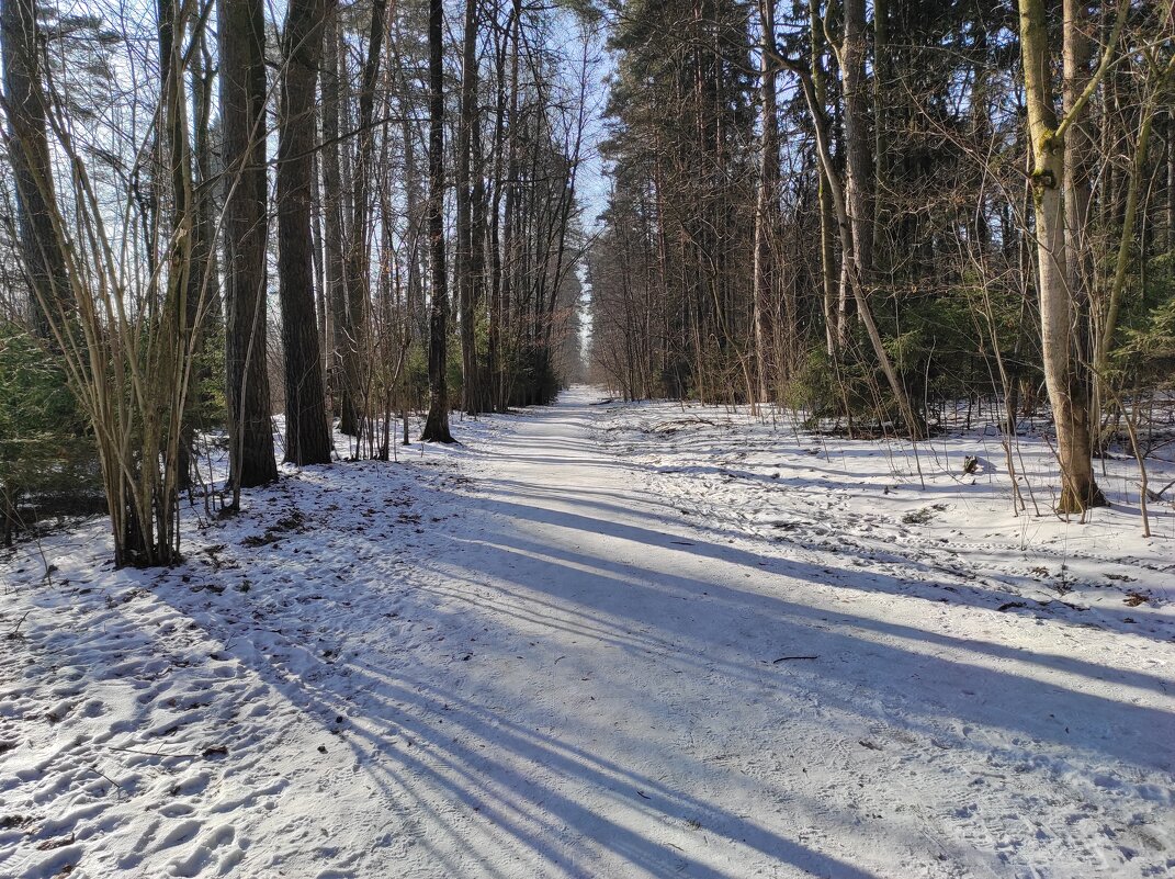 Прямо пойдёшь - на МКАД попадёшь. ) - Игорь Ч. Прямо пойдёшь - на МКАД попадёшь. ) - Игорь Ч.