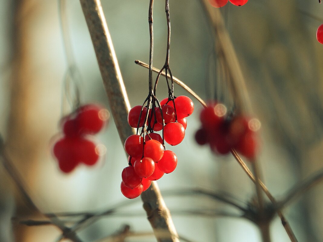 *** - Леонид leo