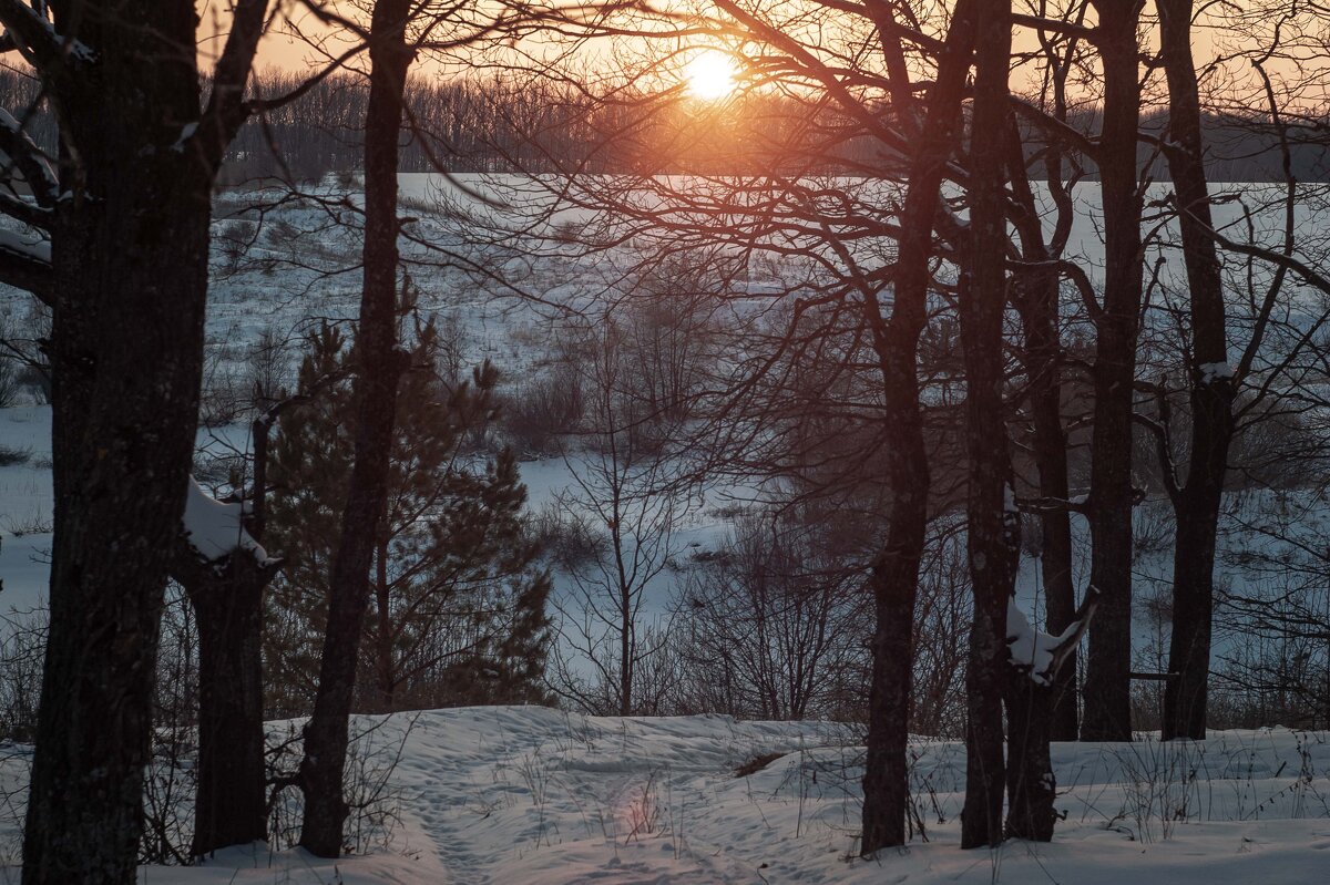 Зимний закат - Дмитрий Ряховский Зимний закат - Дмитрий Ряховский