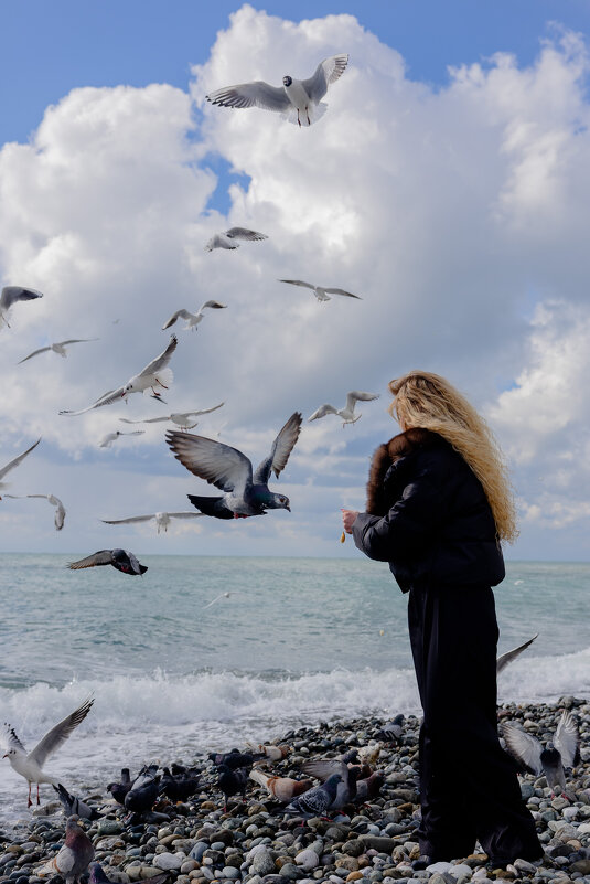Прогулка у моря ,голубь-гигант - Елена Прогулка у моря ,голубь-гигант - Елена
