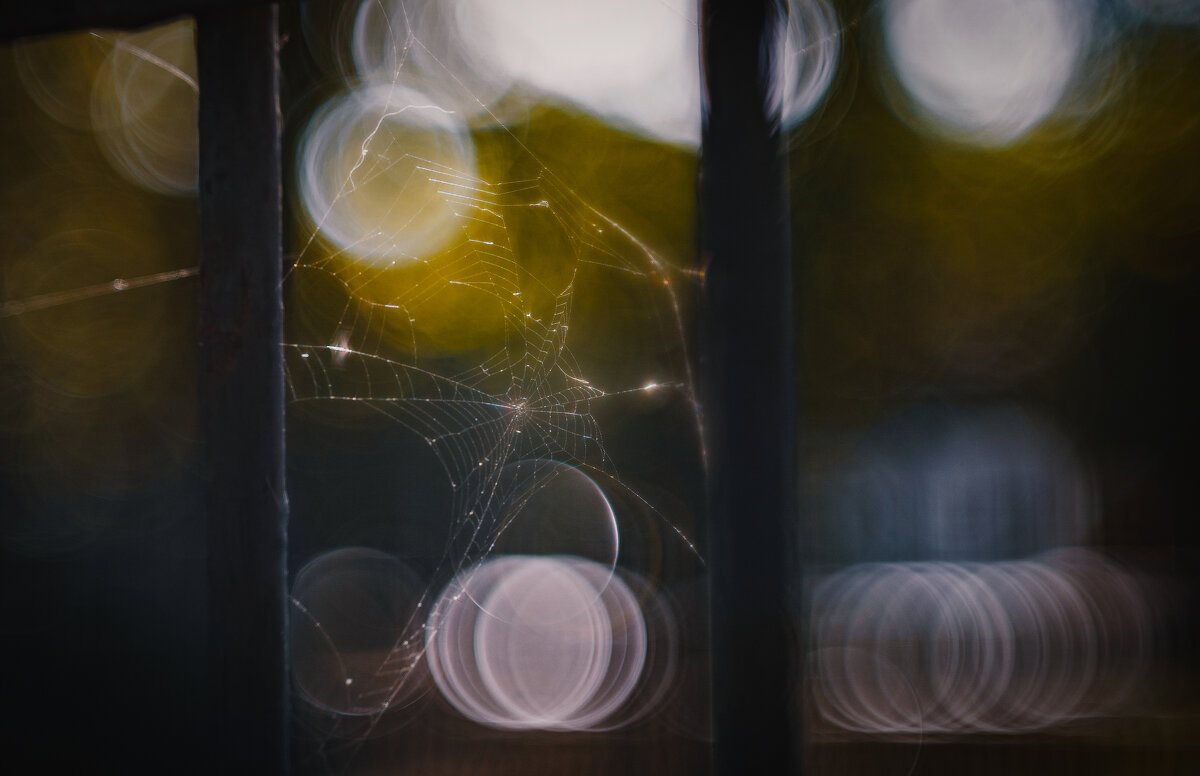 Пикториальная осень. - Анатолий Щербак