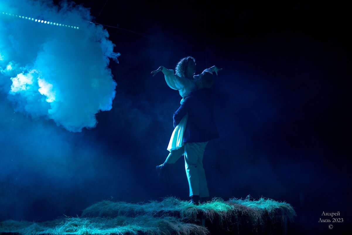 «Чайка» Московский театр «Школа драматического искусства» - Андрей Lyz