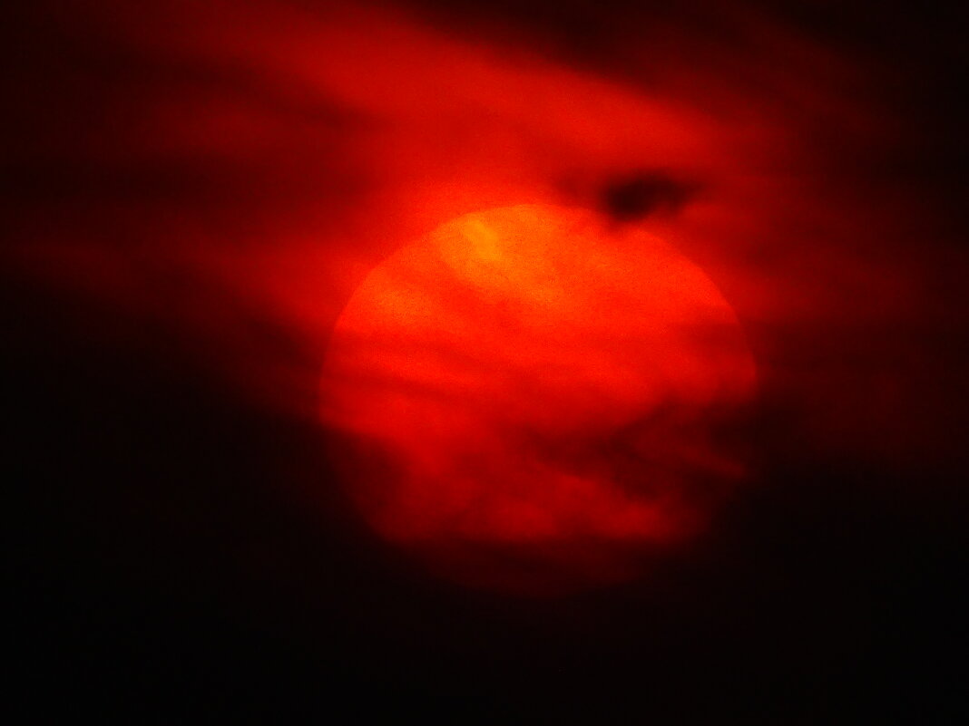 Звезда по имени Солнце - Иван Литвинов Звезда по имени Солнце - Иван Литвинов