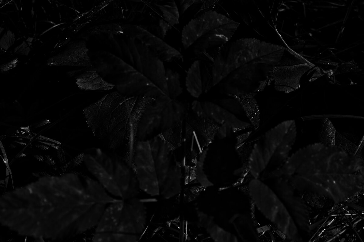 Название отсутствует - Денис Безногов