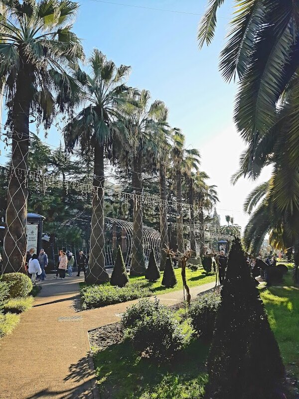 Навагинская в январе - Tata Wolf