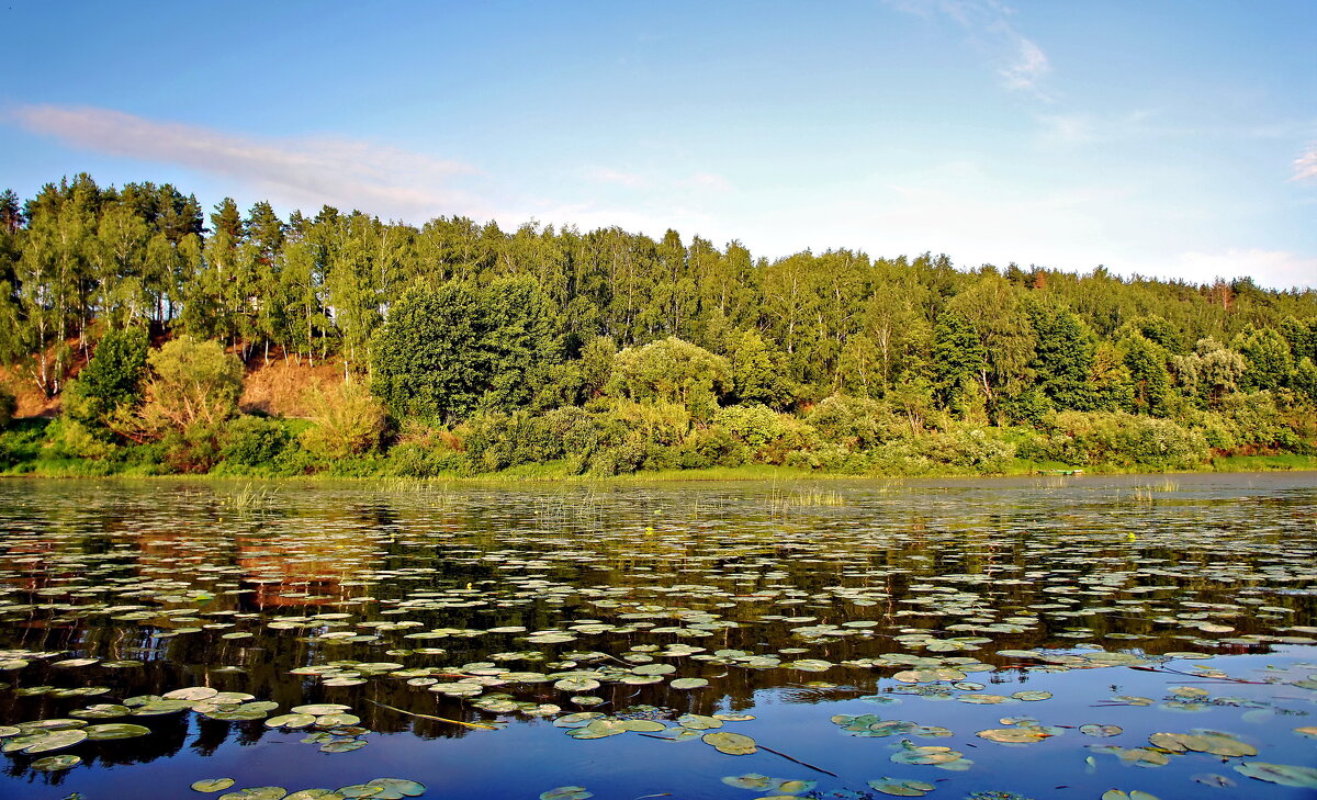 На Оке - Валерий Судачок
