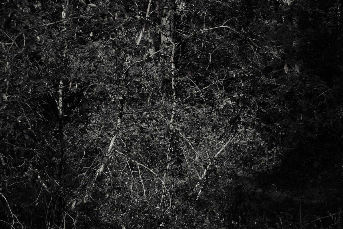 Название отсутствует - Денис Безногов