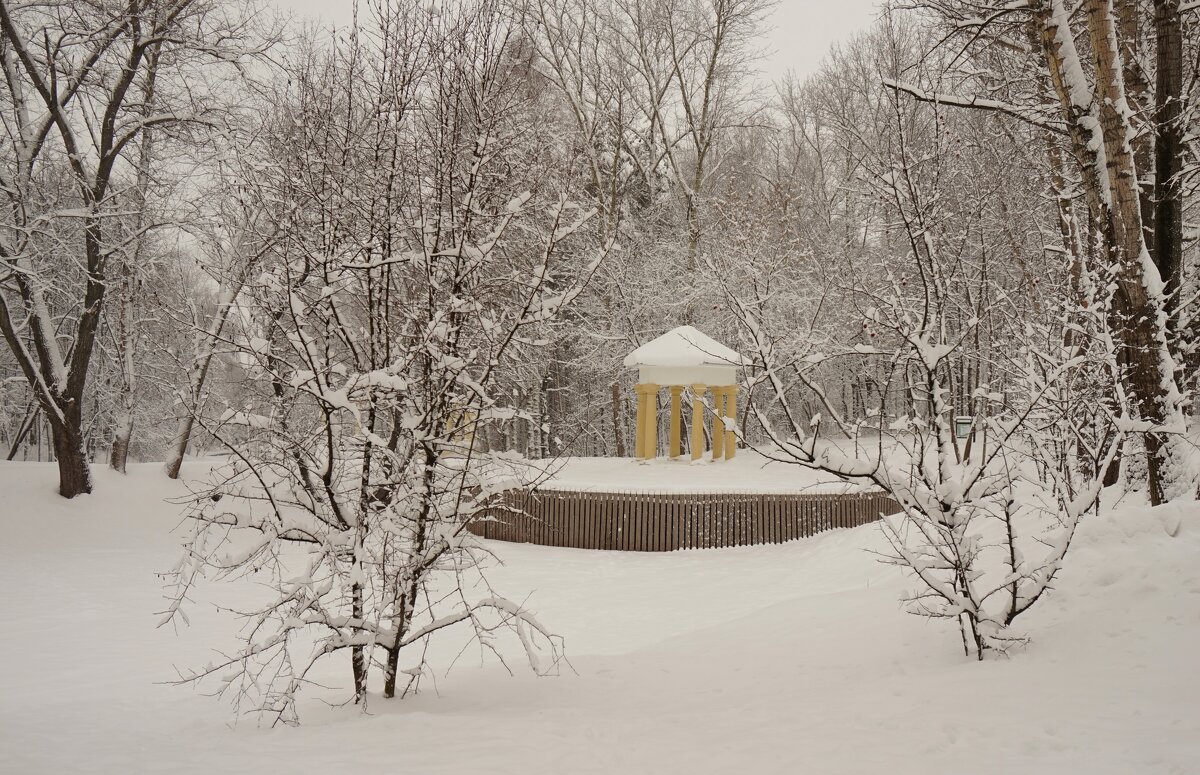 В парке - Nataly St. 