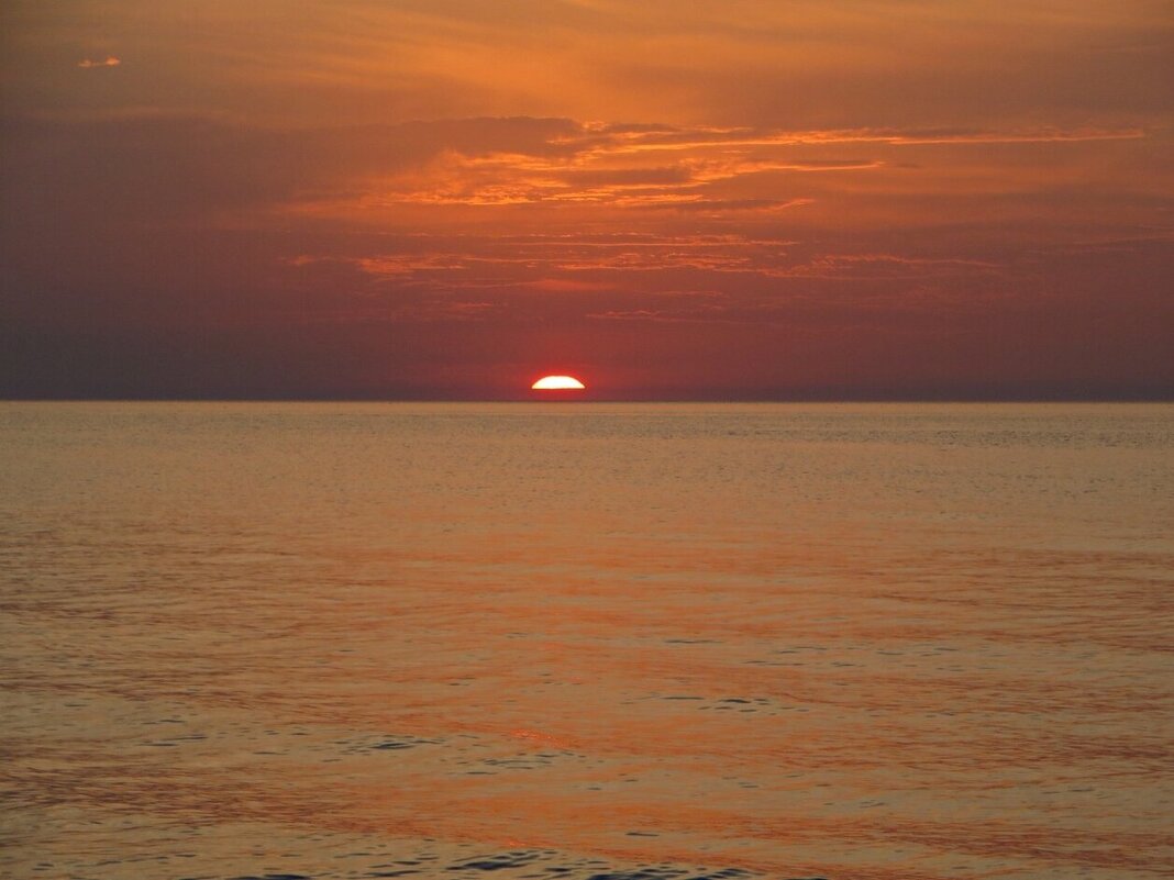 море - марта Камушкина