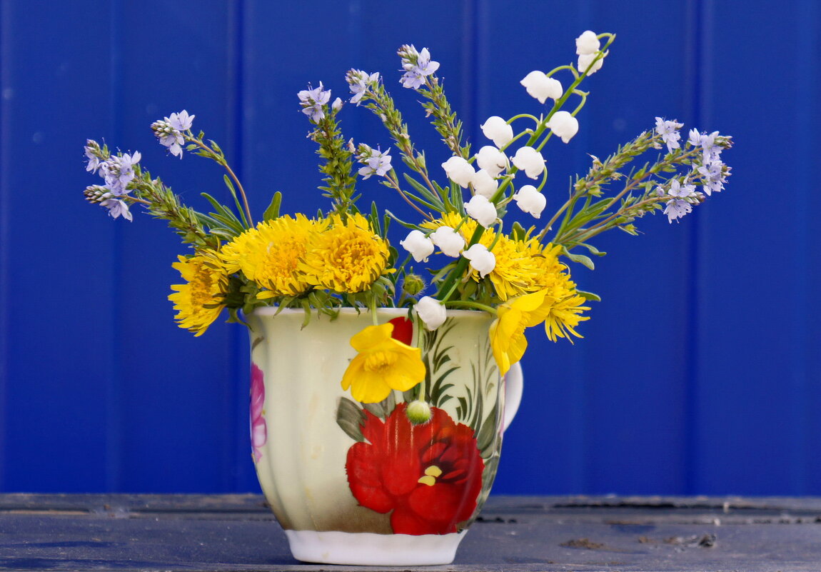 С первым днем весны. - сергей ермошкин