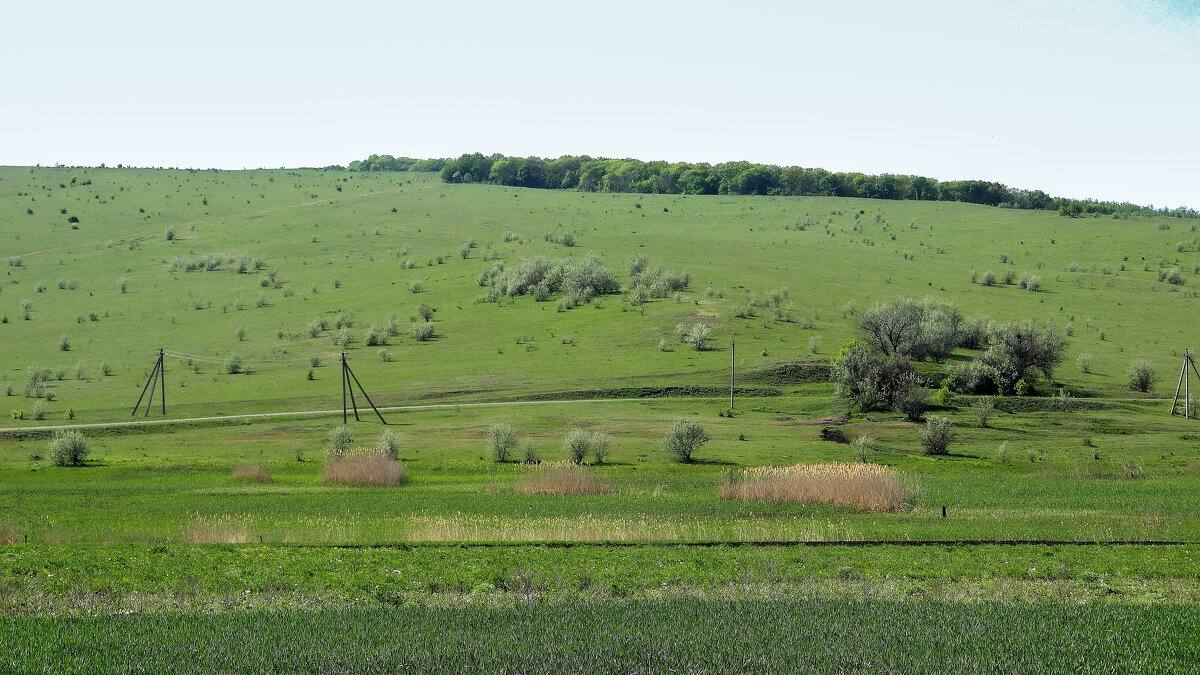 Степь - Валерий Пославский Степь - Валерий Пославский