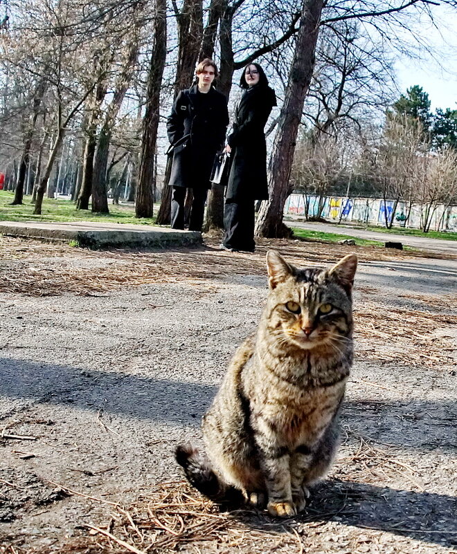 Весна пришла...правда да...? - Николай Саржанов Весна пришла...правда да...? - Николай Саржанов