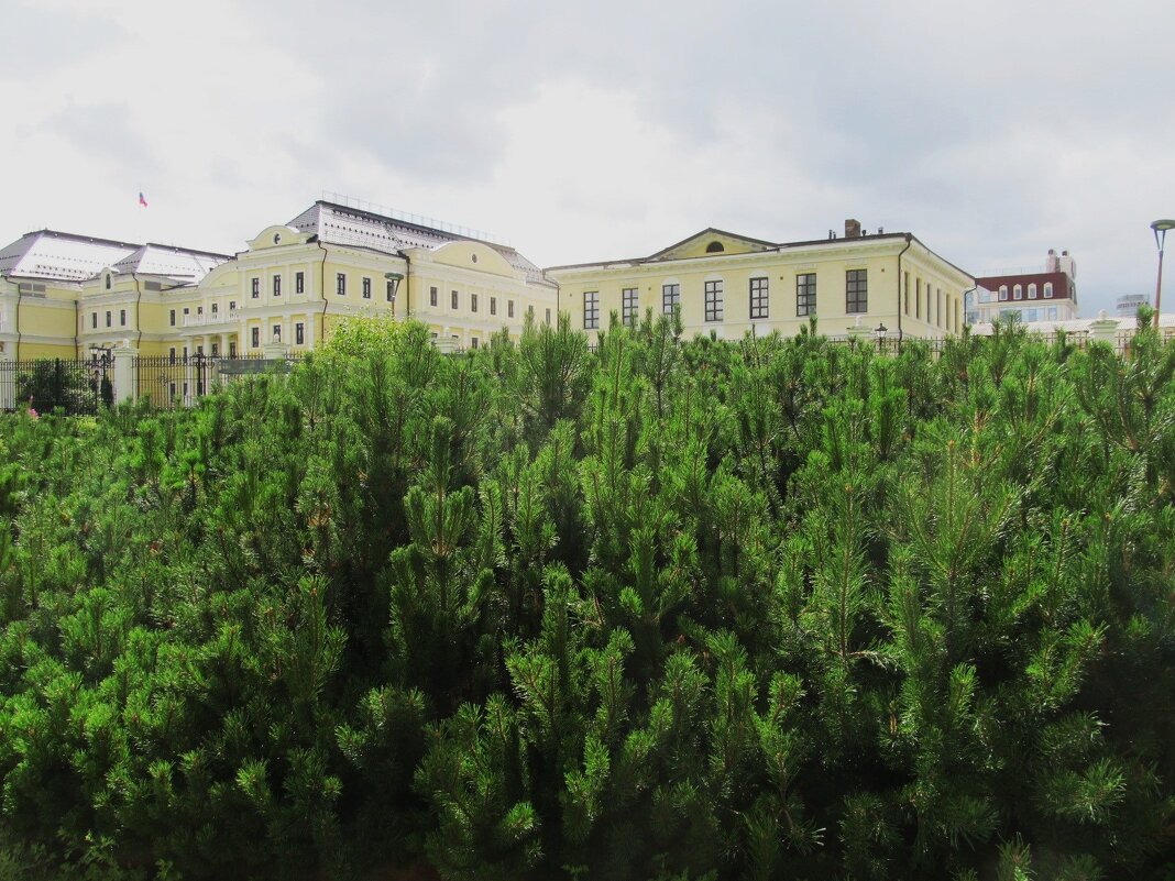 ПРО Екатеринбург - Елена Шаламова ПРО Екатеринбург - Елена Шаламова