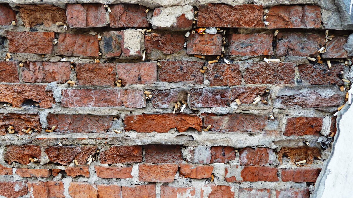 ЗАБЫЧКОВАЛИ ДЕМОНЫ - Юрий Вовк