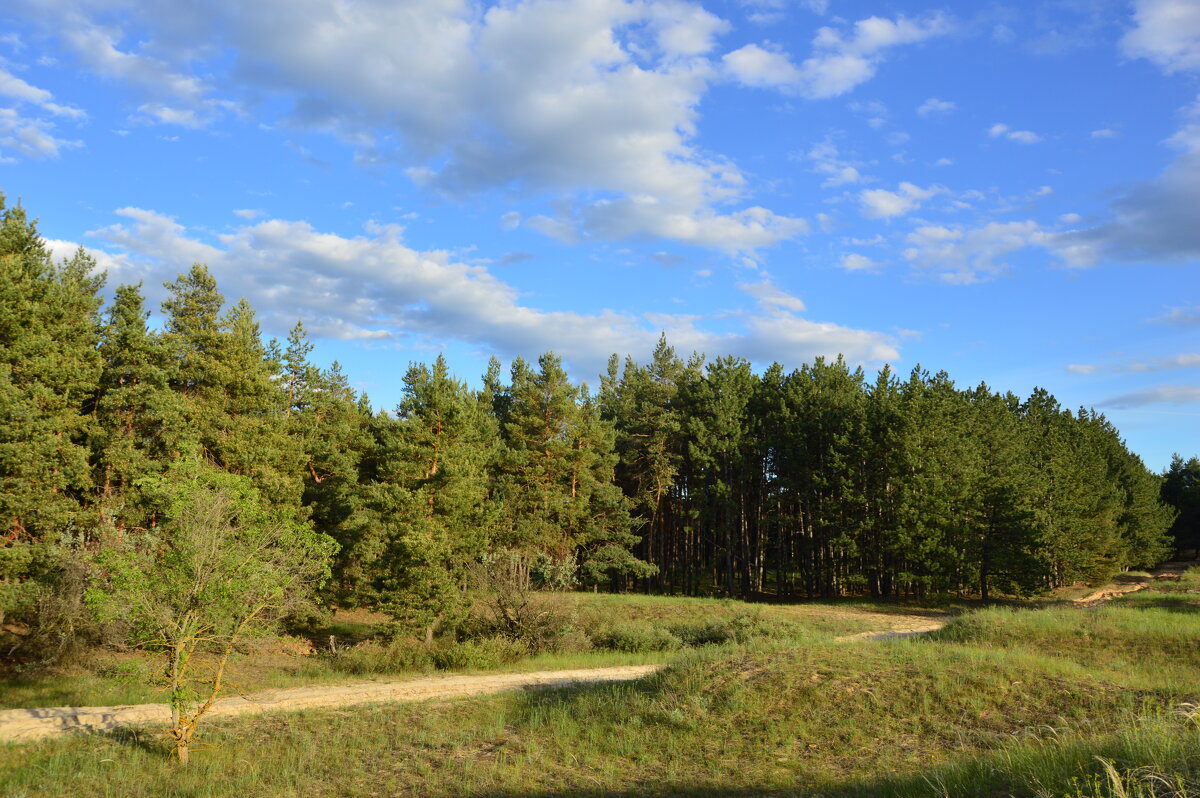 Донские виды. - Виктор 