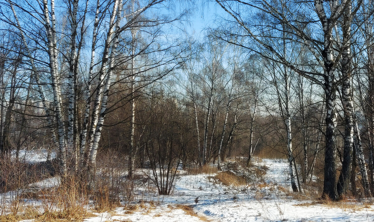 *** - Владимир Безбородов