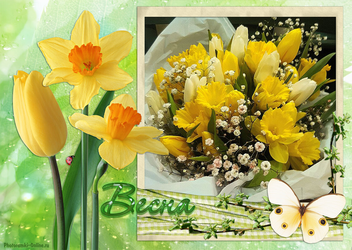 Весна пришла,пусть она будет для всех,доброй и счастливой! - Нина Андронова