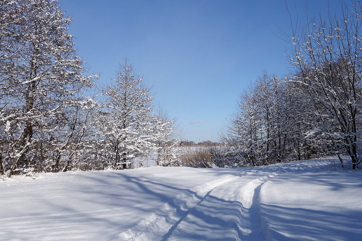 В окрестностях Калининграда - Рита Симонова