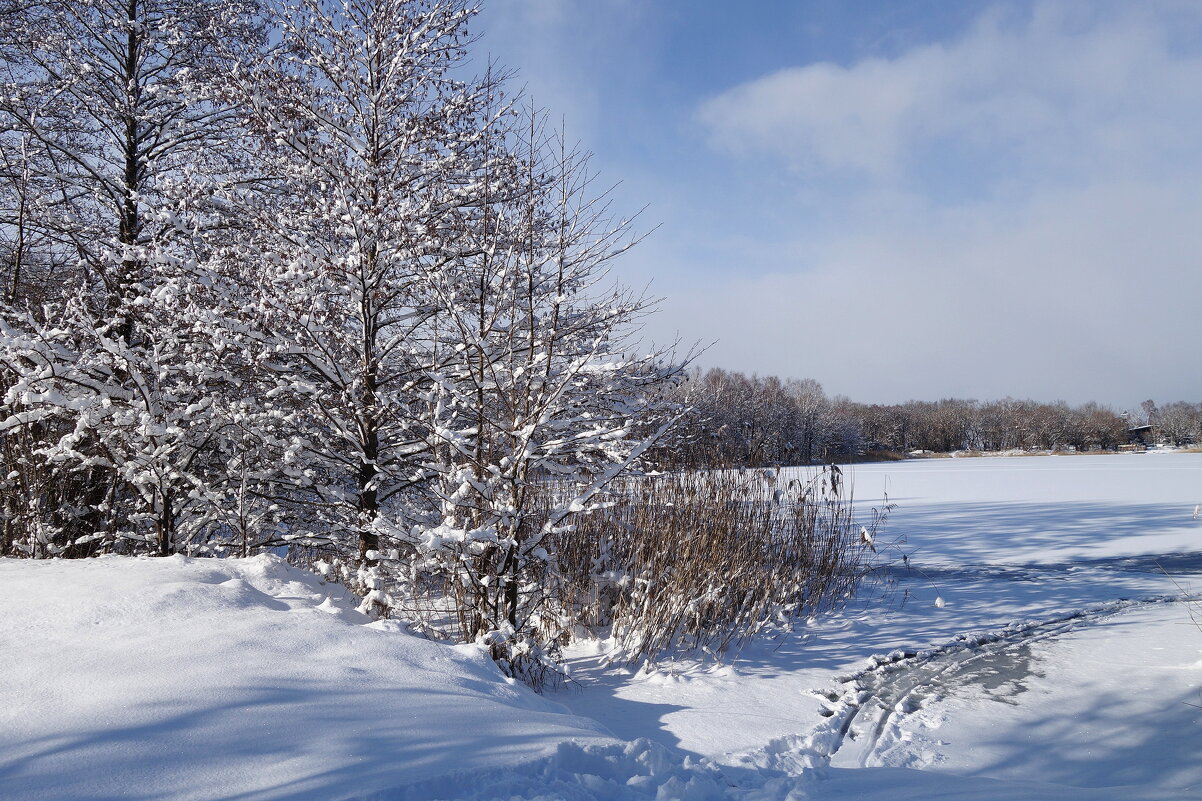 В окрестностях Калининграда - Рита Симонова
