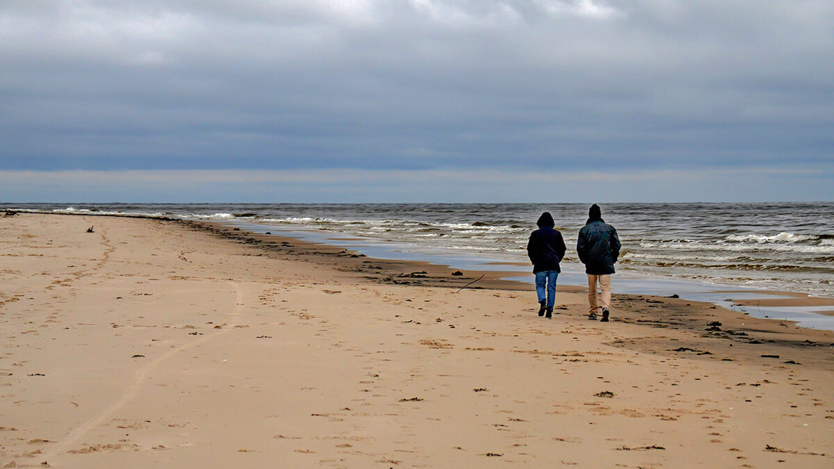 Уходящие вдаль - Alexandеr P