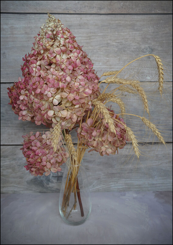 Прощай, зима - Татьяна Машошина