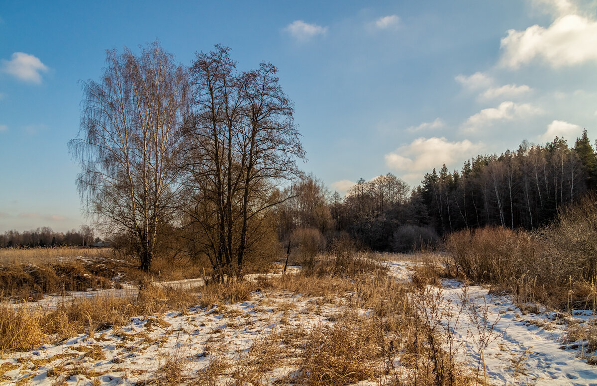 Подмосковная зима. 7 - Андрей Дворников