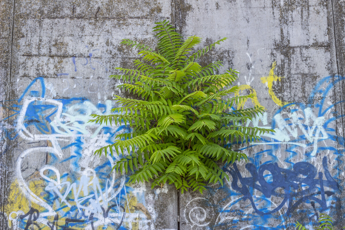 Чарующий фрагмент набережной - Коля Лукашов Чарующий фрагмент набережной - Коля Лукашов