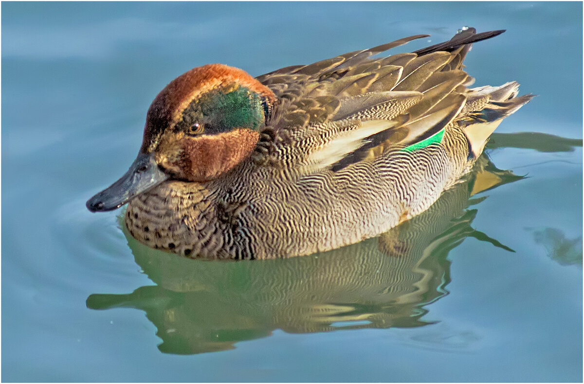 Чирок - свистунок - Валентин Котляров