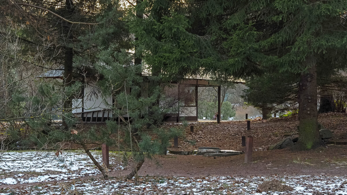 Японский Садик - юрий поляков