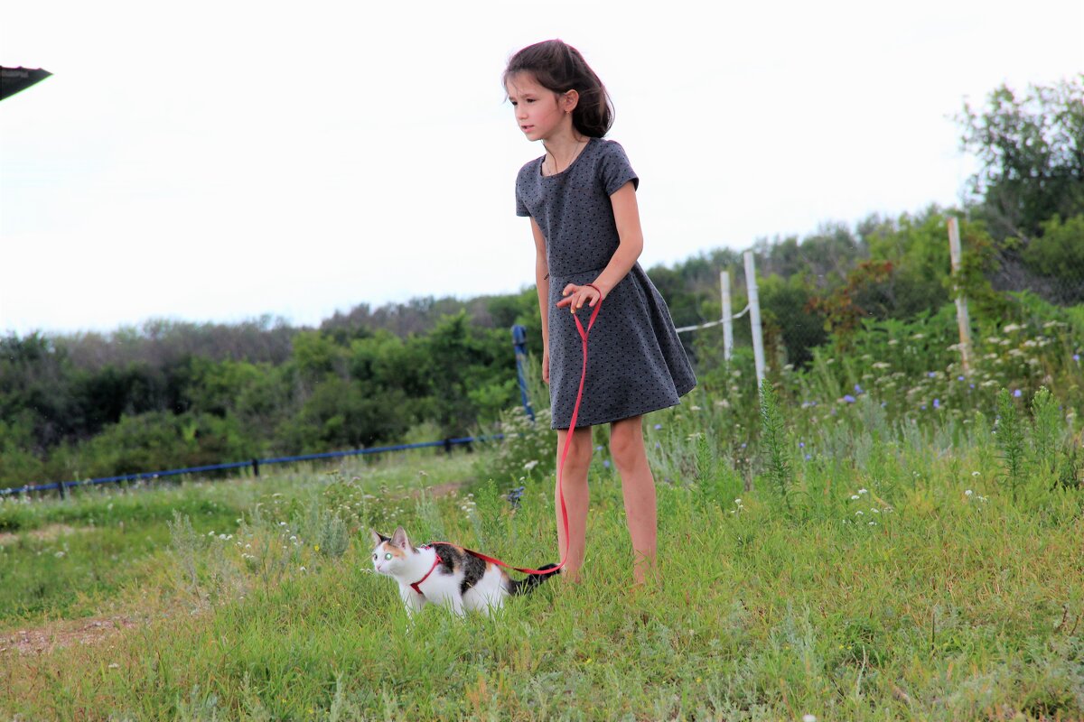 1 марта-день кошек. - Венера Чуйкова 1 марта-день кошек. - Венера Чуйкова