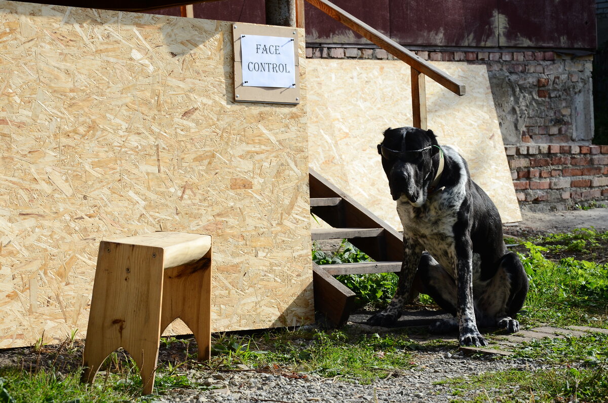 ...Заходите гости дорогие:))) - Рудаков Сергей ...Заходите гости дорогие:))) - Рудаков Сергей