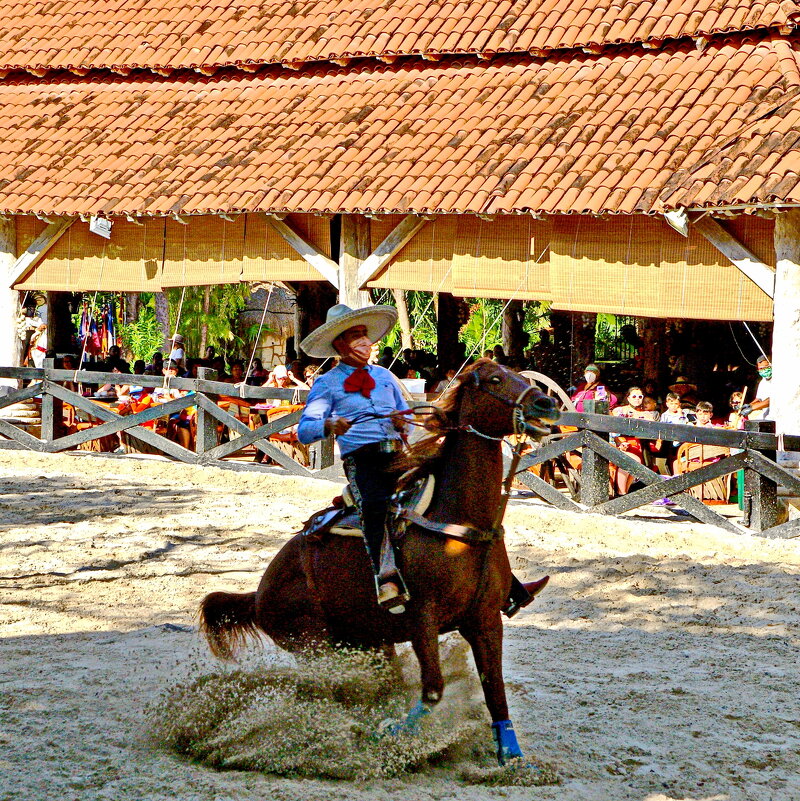 Вакеро. Или гаучо, как посмотреть - Андрей K.