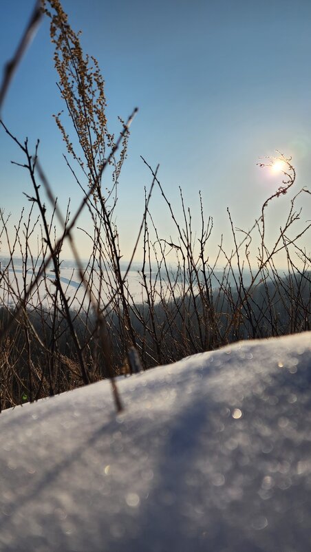 Весна... начало.. - IMir 