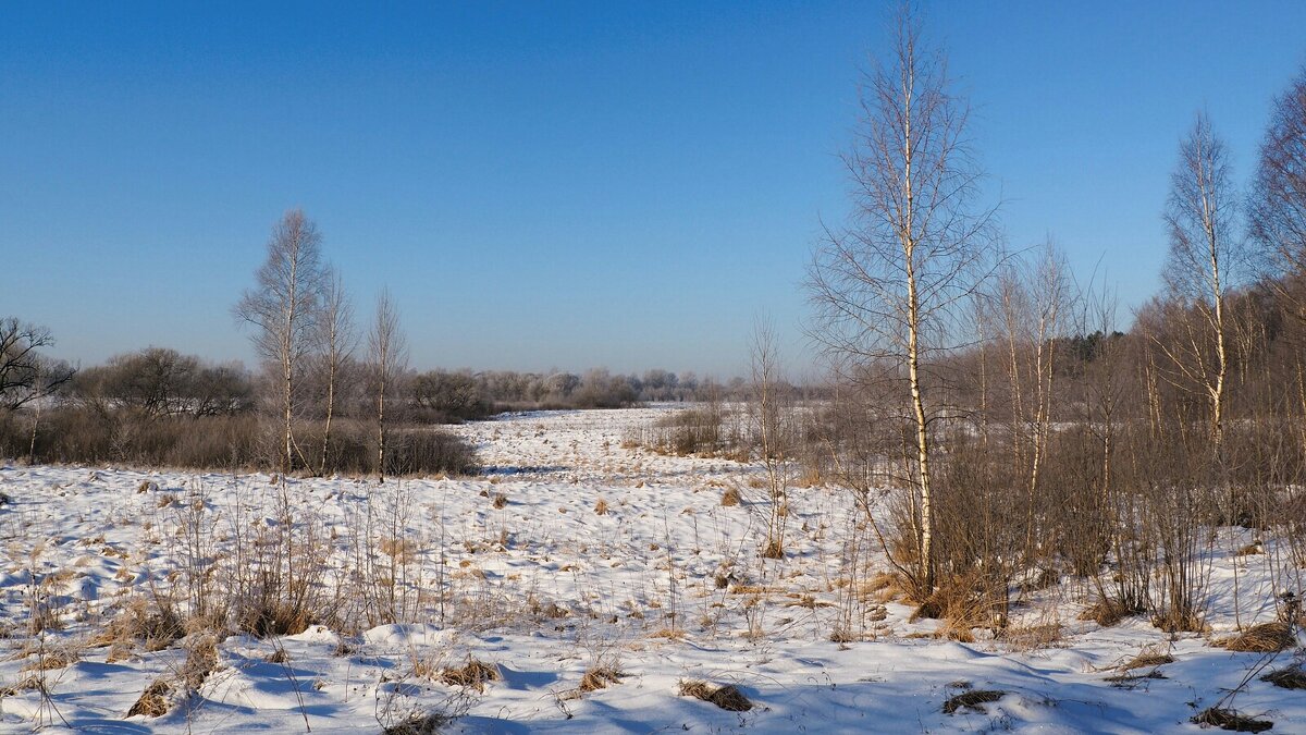 Природа за день до весны (репортаж из поездок по области). - Милешкин Владимир Алексеевич Природа за день до весны (репортаж из поездок по области). - Милешкин Владимир Алексеевич