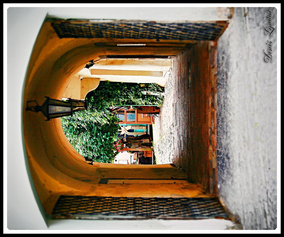 arka - Denis Lipatov