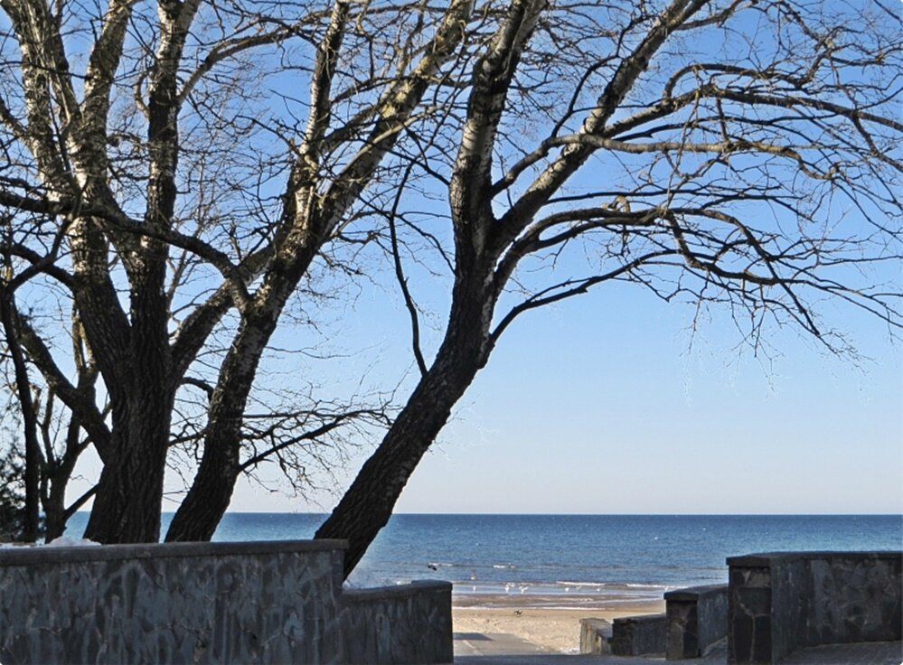 море - марта Камушкина